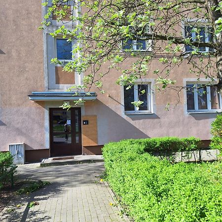 Apartament Katrin II Stary Toruń Extérieur photo